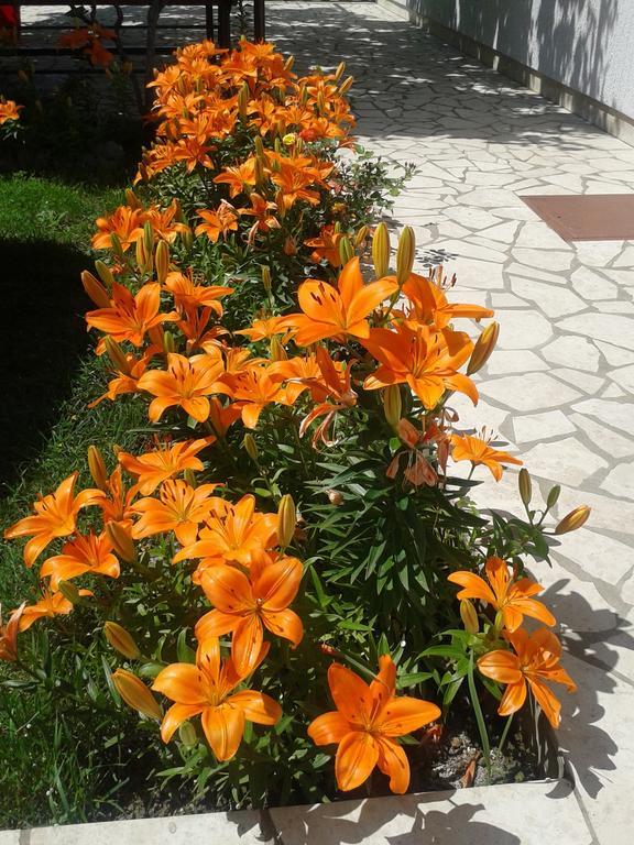 Apartment And Rooms Markovic เซนญ์ ห้อง รูปภาพ